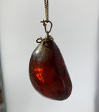 Amber Pendant with Insect Inclusions and 14 karat Gold Fine Curb Link Chain