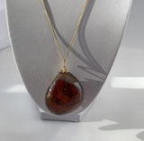 Amber Pendant with Insect Inclusions and 14 karat Gold Fine Curb Link Chain