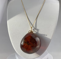 Amber Pendant with Insect Inclusions and 14 karat Gold Fine Curb Link Chain