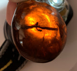 Amber Pendant with Insect Inclusions and 14 karat Gold Fine Curb Link Chain